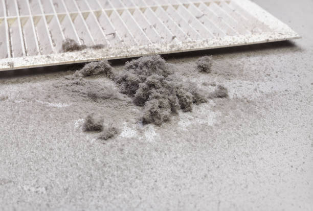 Best Professional Duct Cleaning Services  in Yeadon, PA